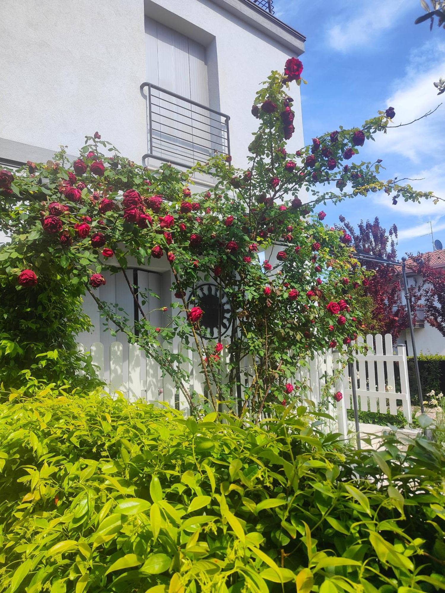 Villa Marianna Garda Lake เปสเคียรา เดล การ์ดา ภายนอก รูปภาพ
